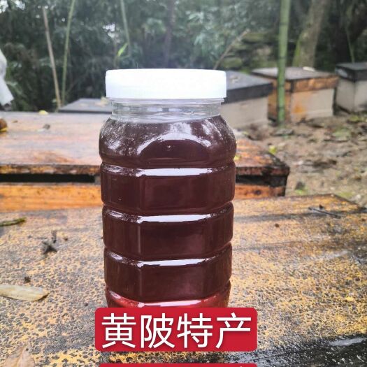 武汉黄陂荆条蜜批发