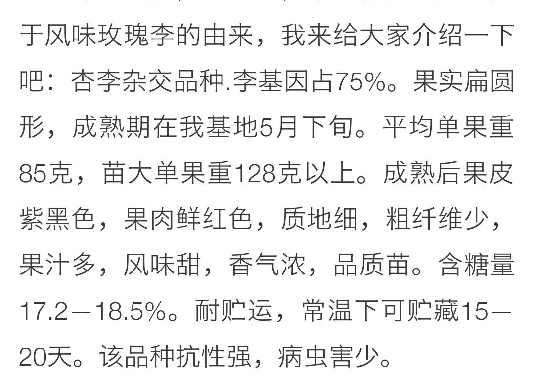 风味玫瑰李子苗  风味玫瑰李子属于早熟品种五月下旬成熟，风味甜，香气浓。