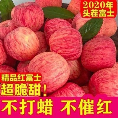 万荣县冰糖心苹果 高红富士苹果