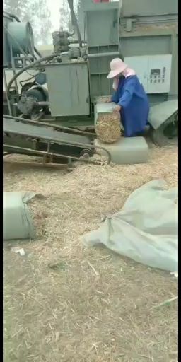 鹿邑县 小麦秸秆二次加工