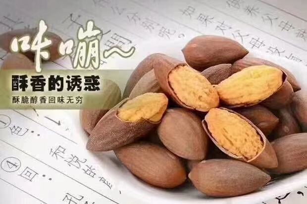 中国珍稀干果之王西垣香榧