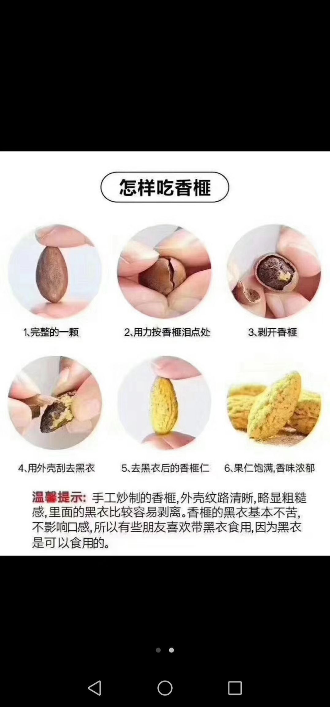 中国珍稀干果之王西垣香榧