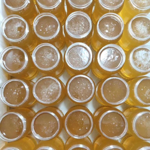 长春椴树蜜  蛟河自家蜂蜜