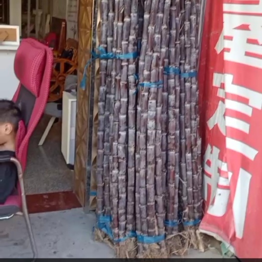 歙县盛产甘蔗，零售，批发