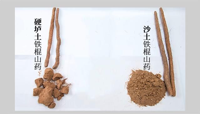 包邮～河南温县垆土铁棍山药，无膨大剂霜降后新鲜怀山药山药片粉