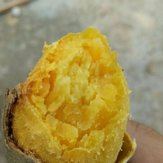 吴川市黄心红薯 3两~6两 红皮 