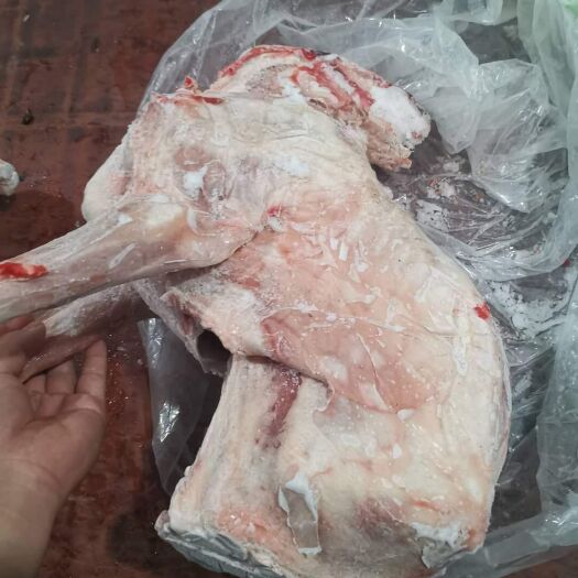 阳信县羊肉类 烤全羊，质量好，需要的小伙伴来购咯