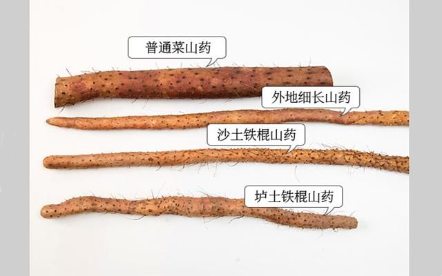 包邮～河南温县垆土铁棍山药，无膨大剂霜降后新鲜怀山药山药片粉