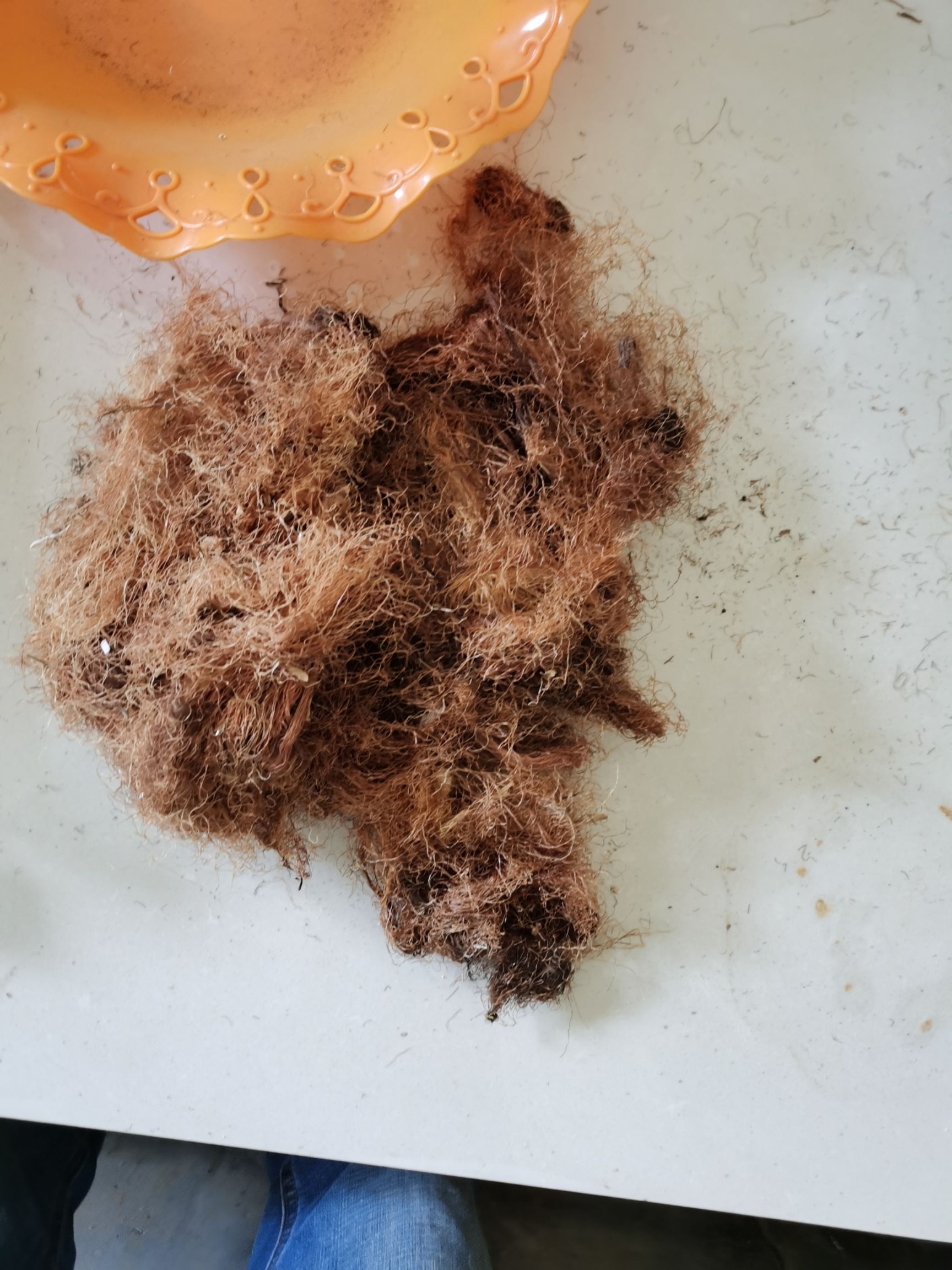 玉米须 选货质量很好