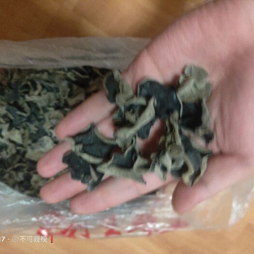 长春东北黑木耳  自家木耳(小耳)