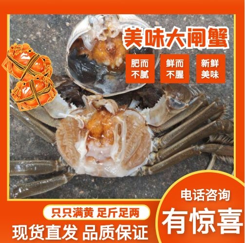 优质鲜冻大闸蟹 专业自助餐酒店餐饮质量保证长期供货