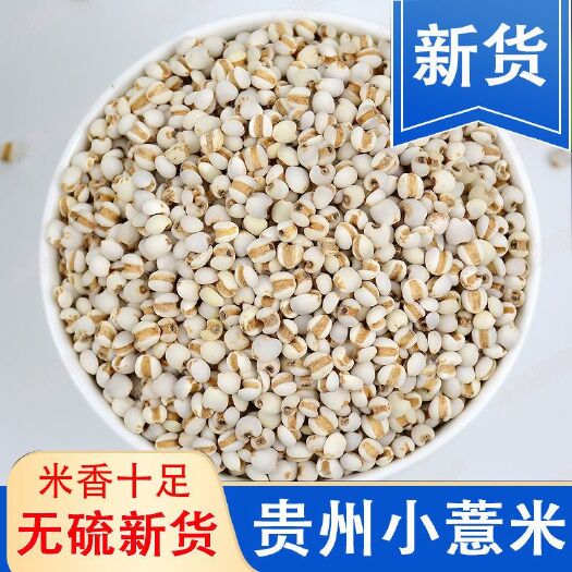 亳州 贵州新货薏米干货薏米仁农家自产薏米红豆芡实红赤小豆五谷杂粗粮