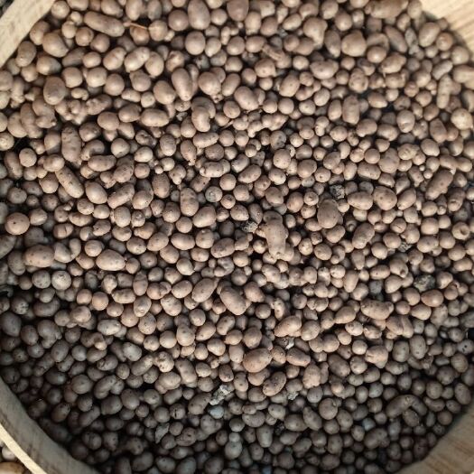  本地山药豆大量上市了有需要的客户请联系我