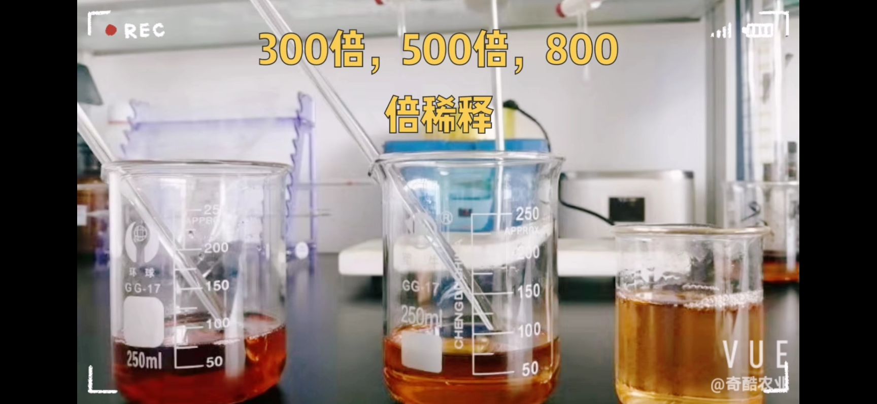  精油碳酶水溶肥，效果确实好