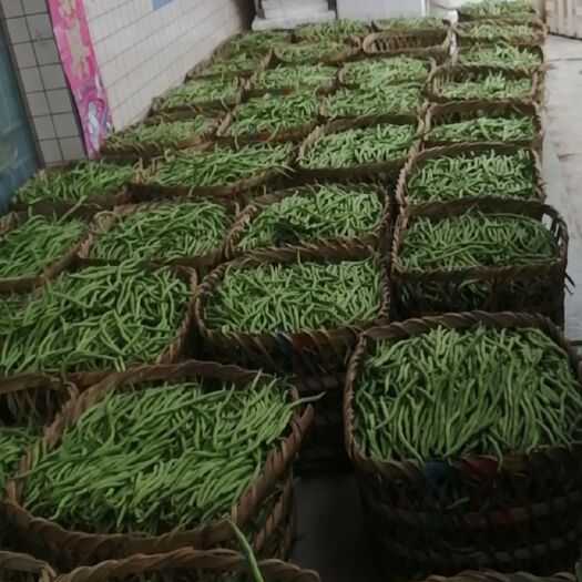 乐山无筋豆角 四川省乐山市市中区