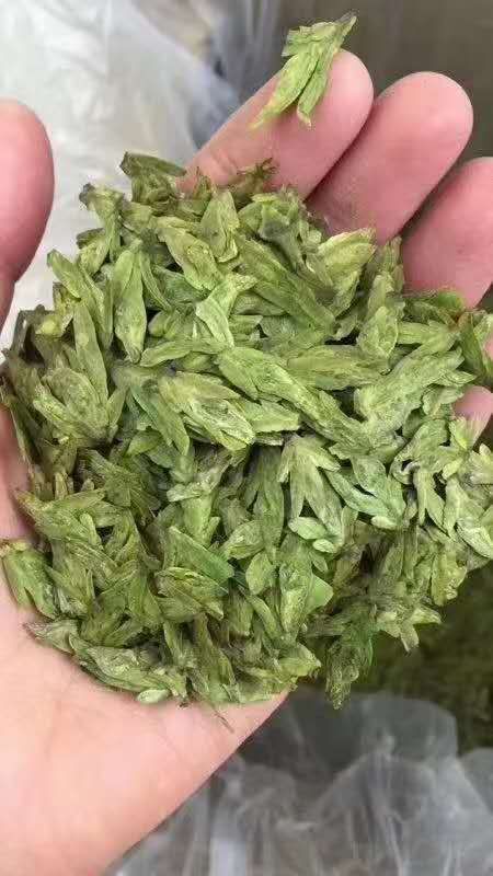 芜湖祁门红茶 2-3年 