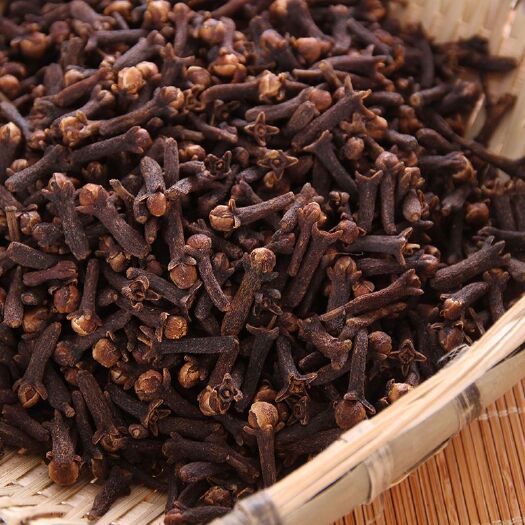 亳州 正宗丁香中药泡茶 大红公丁香调料 钓鱼丁香粉香料调料炖肉料卤