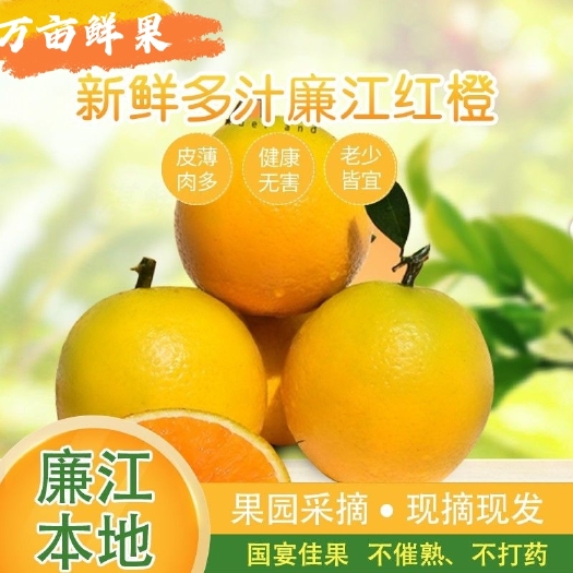 信宜市 正宗廉江红橙自家果园每天现摘现发非血橙冰糖橙批发