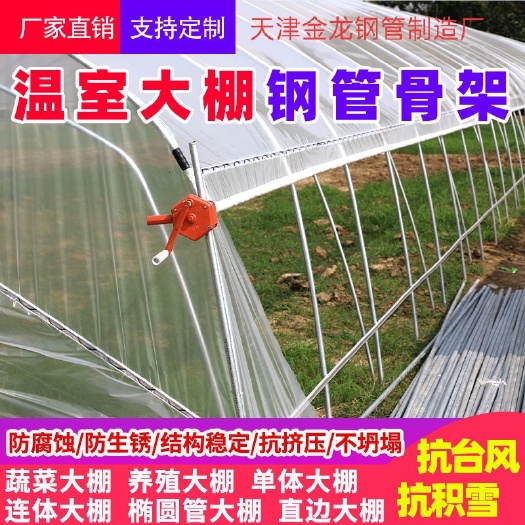 天津C型钢温室大棚  养牛棚养鸡棚养虾棚种植棚钢管大棚养殖大棚连栋棚种厂家直销！