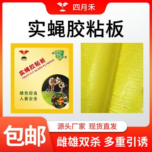 曹县育苗防护资材  果实蝇粘板诱虫板黄板诱虫球蓟马小飞虫