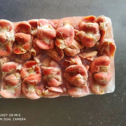 滨州 817鸡胗
