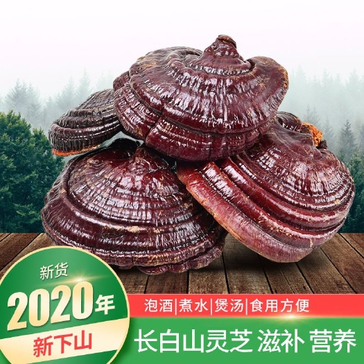 亳州黑灵芝 【精选大片】灵芝片赤灵芝紫灵芝安神泡茶煲汤长白山灵芝泡酒