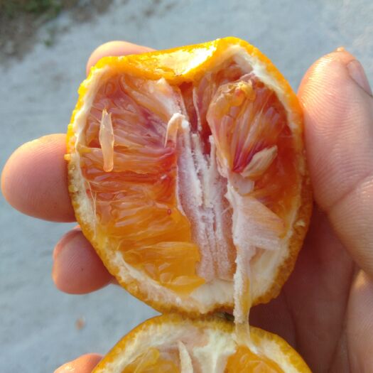 仁寿县塔罗科血橙 资中血血橙，味甜果大，吃起有种代清香味欢迎个位老板前来下单，