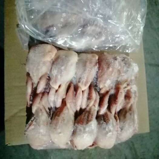 滨州淘汰鹌鹑 放血鹌鹑