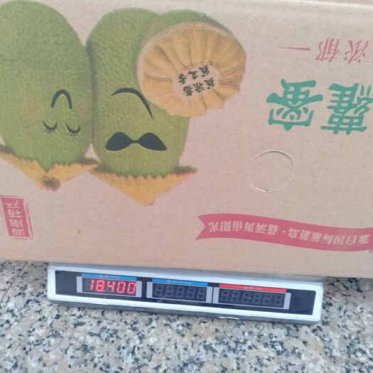 文昌市海南菠萝蜜  海南黄肉菠萝蜜