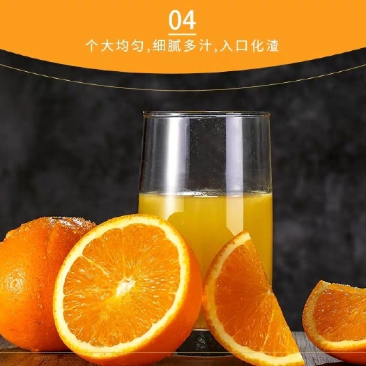甜橙纽红儿脐橙，70－85cm