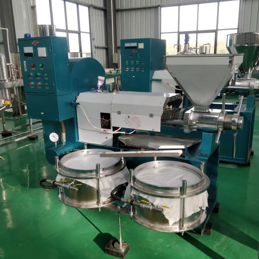 巩义市榨油老厂推荐150型榨油机 全自动大型榨油机加工量上千
