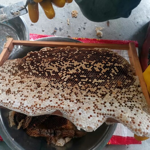 廉江市純天然家養蜂蜜 ，雜花蜜，營養成分高，水分少。看圖@我