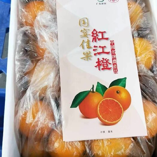 广州 廉江红橙，果中之王