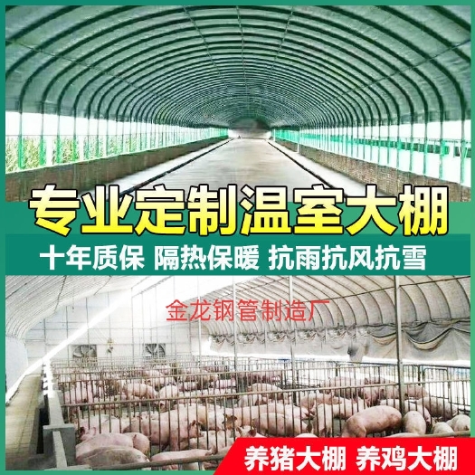 天津种植大棚  养殖棚种植棚养牛棚养鸡棚养羊棚养猪朋钢管大棚菌菇棚