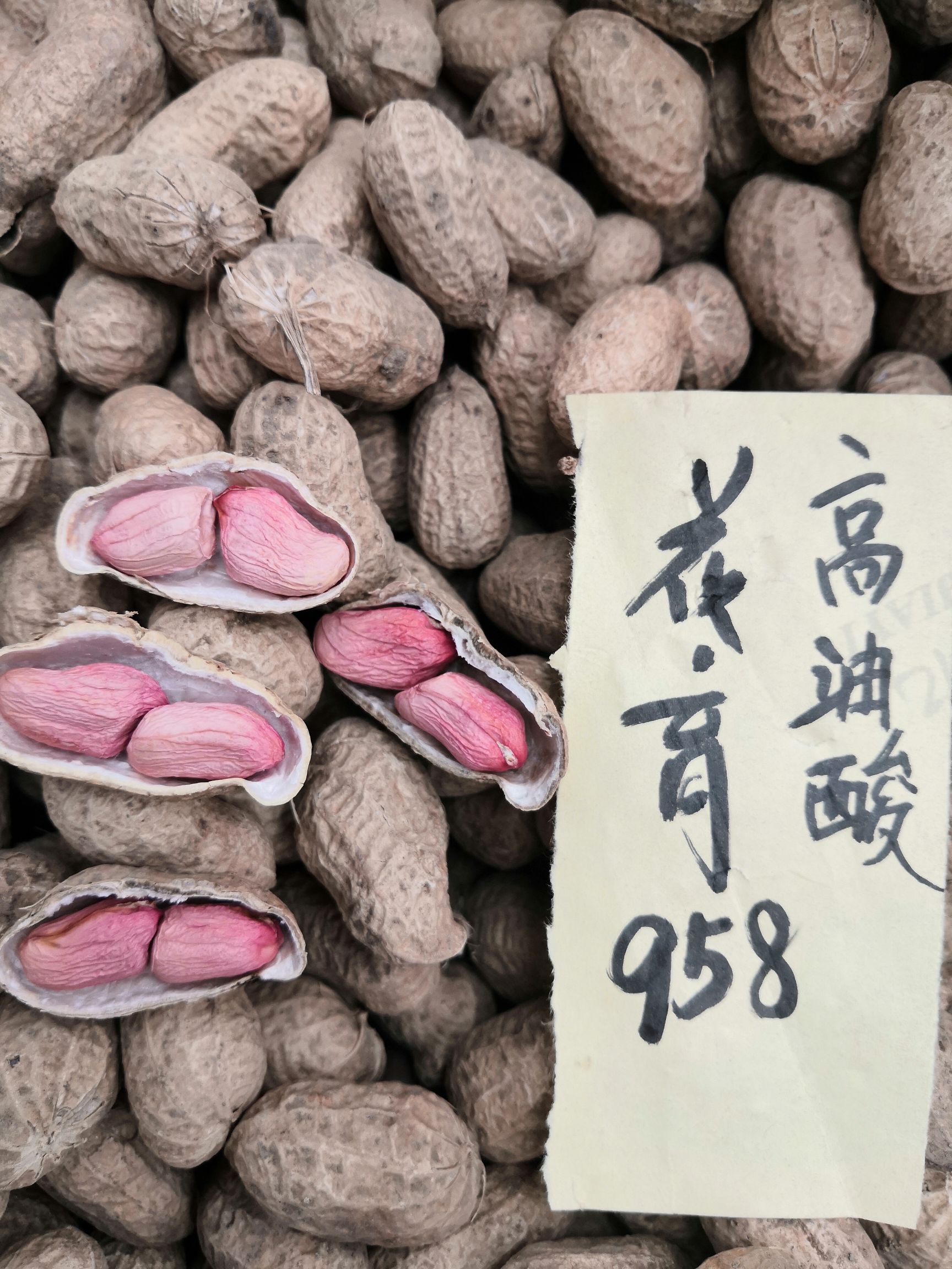 花育系列花生 花生原种产量高退化慢抗逆性强