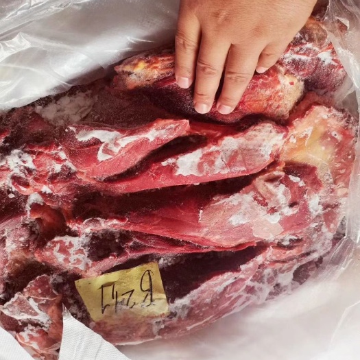 鲜马肉  四分体马肉肋条，颜色鲜艳，新日期新货