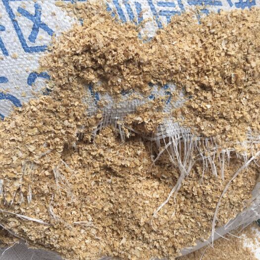 济南麦麸 质优价廉，实力供货