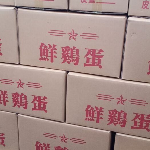 邓州市普通鸡蛋  供应箱装红蛋