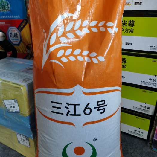 三江六号 中稻/一季稻 