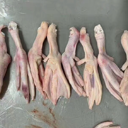 滨州 二级鸭掌，价格超低，欢迎致电