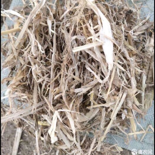 怀远县玉米秸秆  专业出售各种秸秆