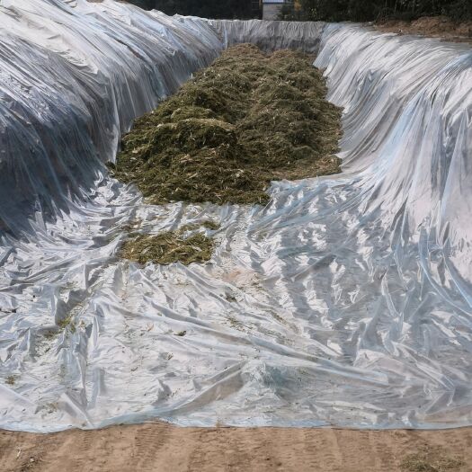 濮阳县 20年的新玉米秸秆饲料