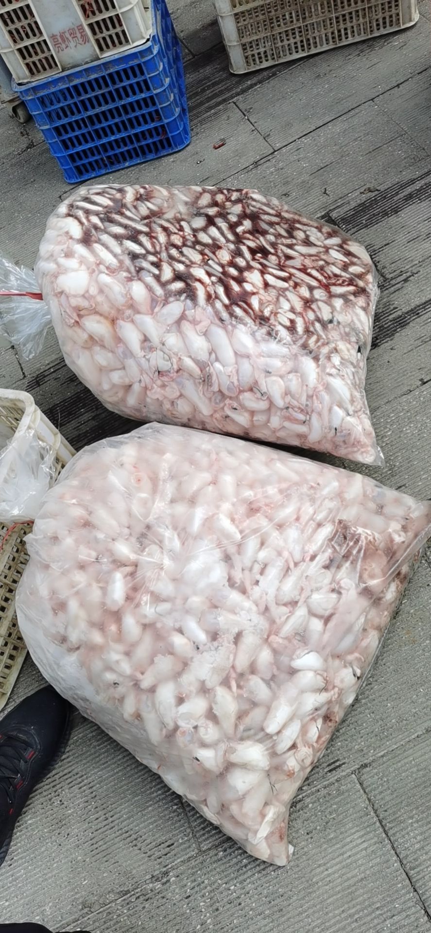 潜江市白鲢鱼泡  白鲢鱼鳔鱼泡鱼胶大量有货厂价直销，全国发货