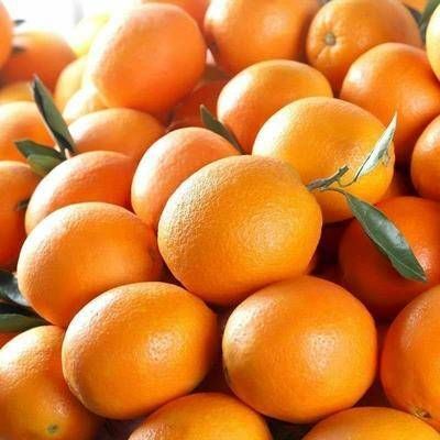 全南县 全南县果园脐橙   中大果   味甜