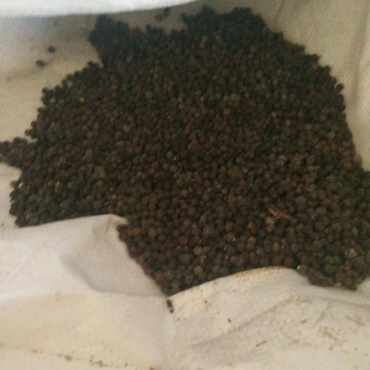 乐陵市 供应6量黑胡椒颗粒