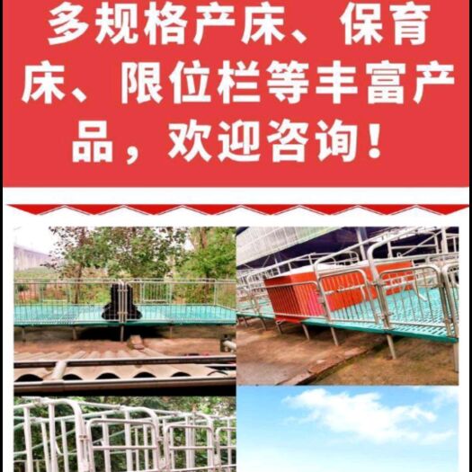 封丘县养殖设备 母猪产床25热镀锌 全复合双休母猪产床 母猪产仔床 分娩床