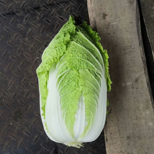 钟祥市黄心大白菜