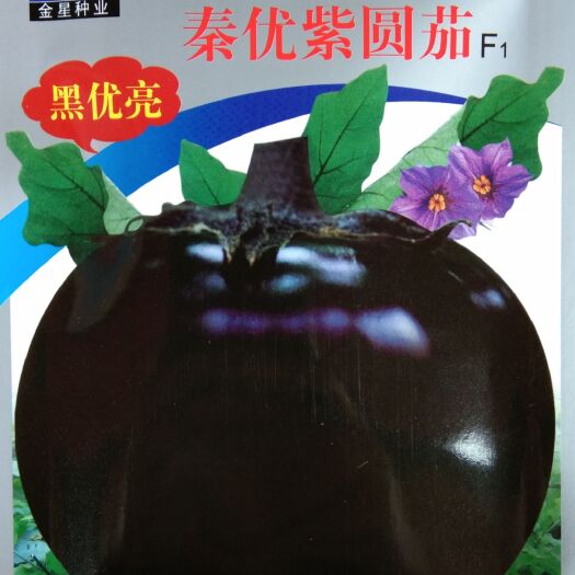 常德茄子种子 秦优紫圆茄F1  早熟紫圆茄种子