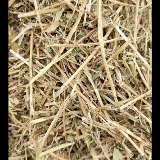 怀远县 大量出售花生秧