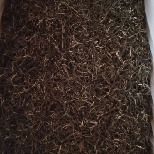 勐海县古树普洱茶 班盆古树茶